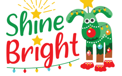 Rotec supports ‘Shine Bright for Bristol Children’s Hospital’ this Christmas