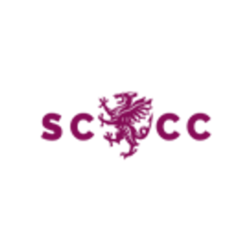 Somerset County Cricket Club logo