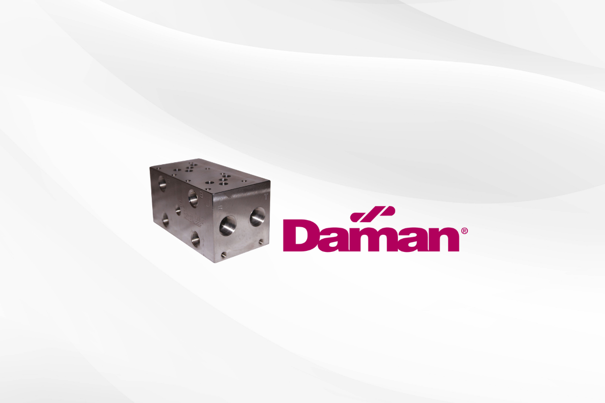 Daman Rotec Hydraulics Ltd